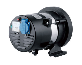 1KW Direct Connection  High Output Alternator AC Power